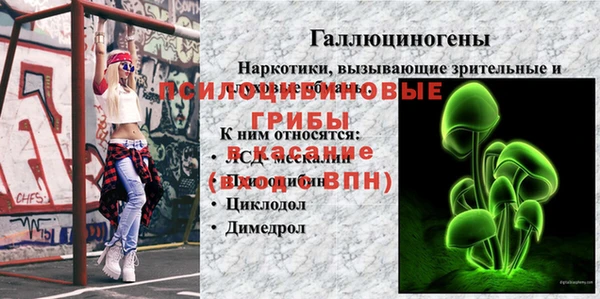 МДПВ Верея