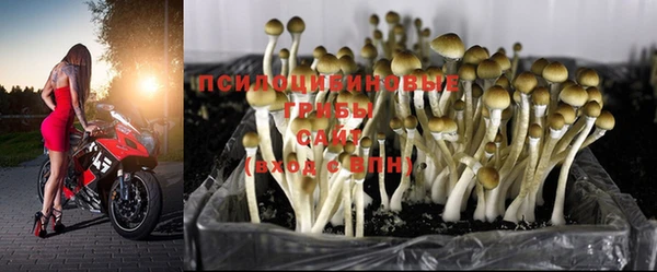 2c-b Верхний Тагил